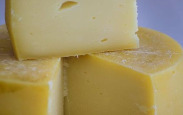 Turkish cheese suppliers and manufacturers, cheese manufactures suppliers of turkey