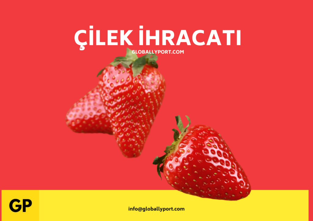 Çilek ihracatı yapan firmalar, çilek üretimi firmaları ve çilek i̇hracatçıları