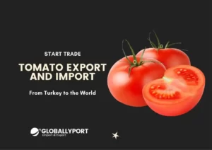 Turkish tomato manufacturers suppliers tomatoes import from turkey