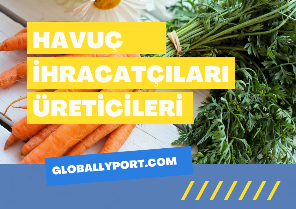 Havuç i̇hracatı i̇thalatı yapan firmalar (nasıl yapılır)