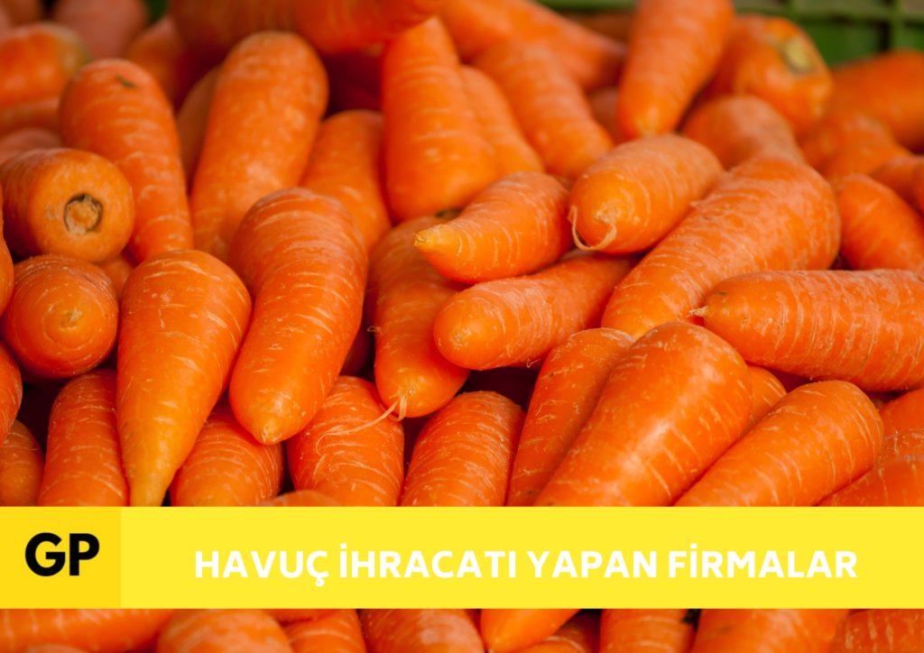 Havuç i̇hracatı i̇thalatı yapan firmalar (nasıl yapılır)