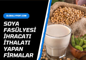 Soya fasülyesi i̇hracatı i̇thalatı yapan firmalar, soya fasülyesi i̇hracatı nasıl yapılır