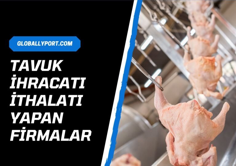 Chicken manufacturers and suppliers in turkey, wholesale chicken producers