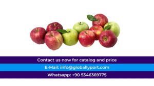 Apple manufacturers suppliers, wholesale apple dealers in turkey