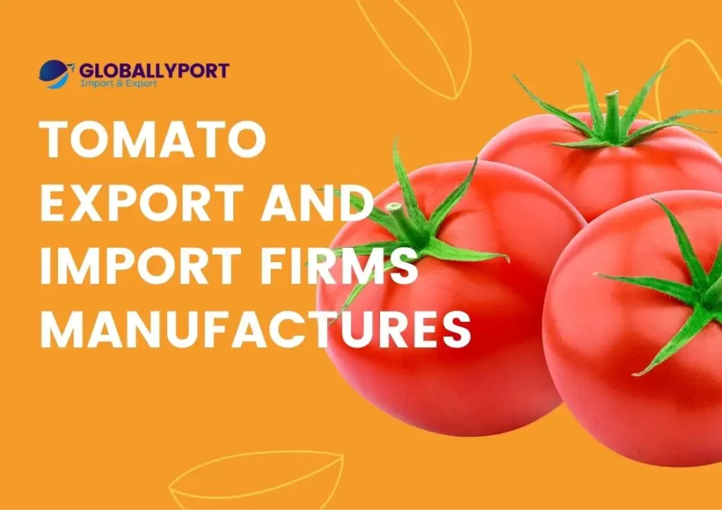 Turkish tomato manufacturers suppliers tomatoes